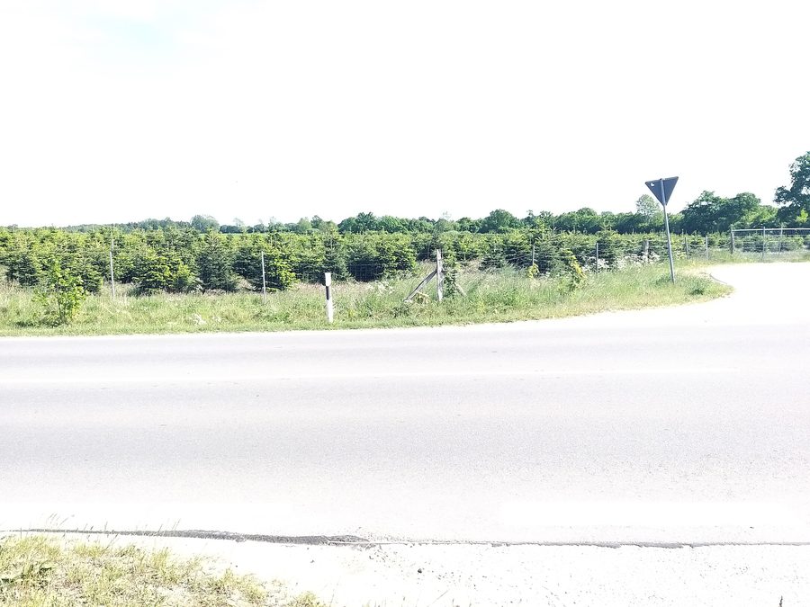 Country road L44 in Osdorf