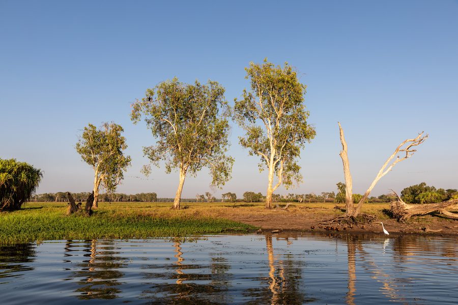 Yellow Water in Kakadu National Park