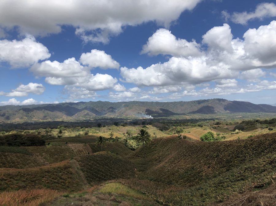 Pineapple cultivation during the dry season in the municipality of Ticuantepe, Nicaragua