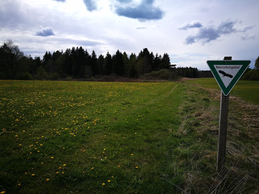 Waltere Moor nature reserve near Sauldorf with moorland and vegetation