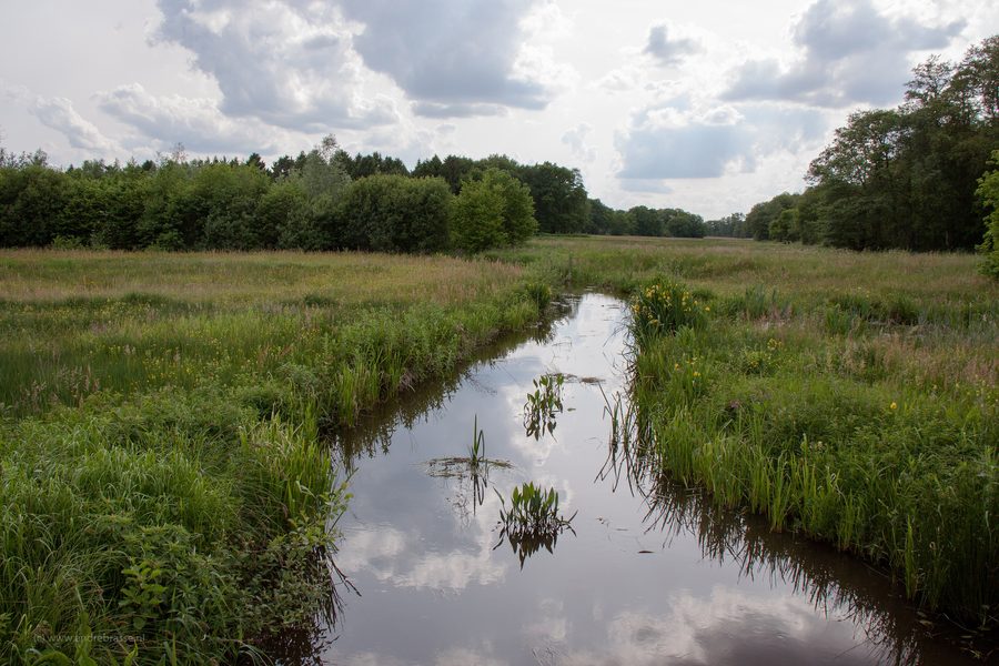 Rural landscape in Drentsche Aa National Park.