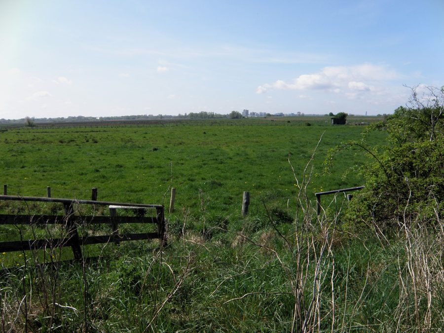 View over the meadows in the Barsbeker See nature reserve and surroundings