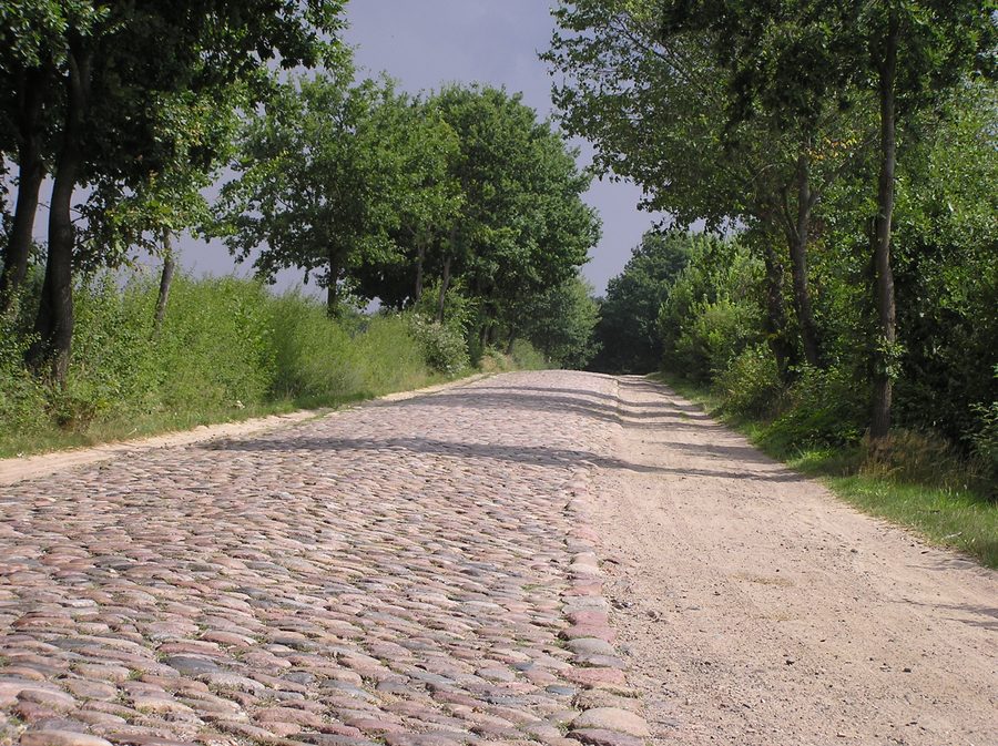 Summer path between Braak and Siek in Stormarn