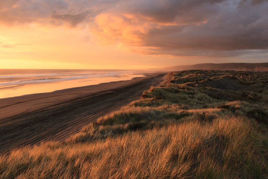 Sand dunes in Port Waikato under a cloudy evening sky