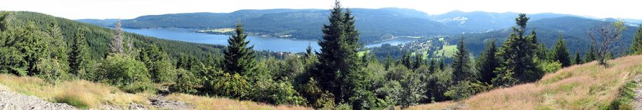 View across Lake Schluchsee in the Black Forest with wooded shores