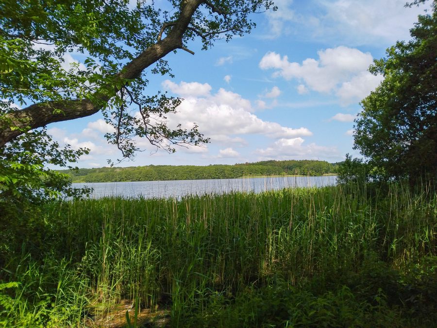 View from the south shore of Lake Bistensee toward the north shore