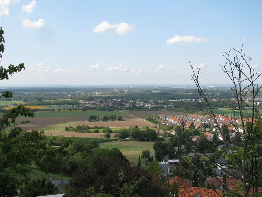 View from Hindenburgstraße in Alsbach toward the Rhine Valley