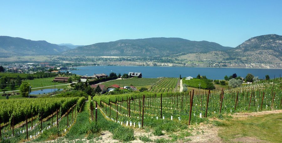 View of Okanagan Lake from the vineyards at Naramata Bench.