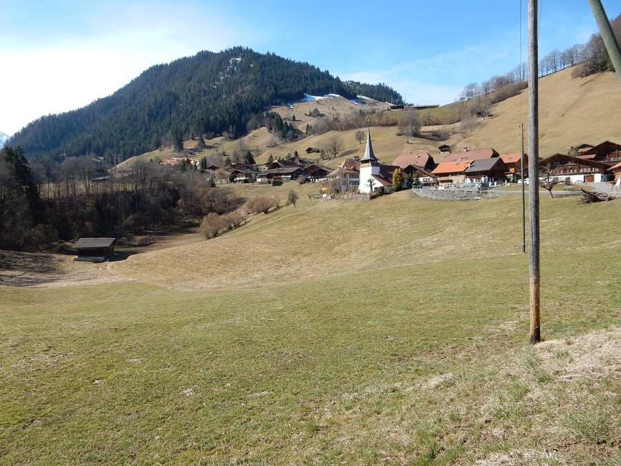 Overview of Diemtigen in the canton of Bern