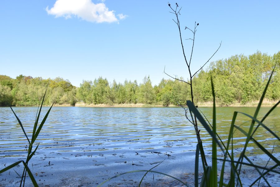 Lake landscape in Kreuzkamp with a lake and surrounding forests