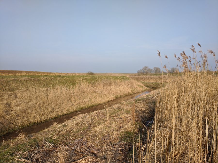 The Kittendorfer Peene between Bredenfelde and SĂĽlten in Mecklenburg-Vorpommern