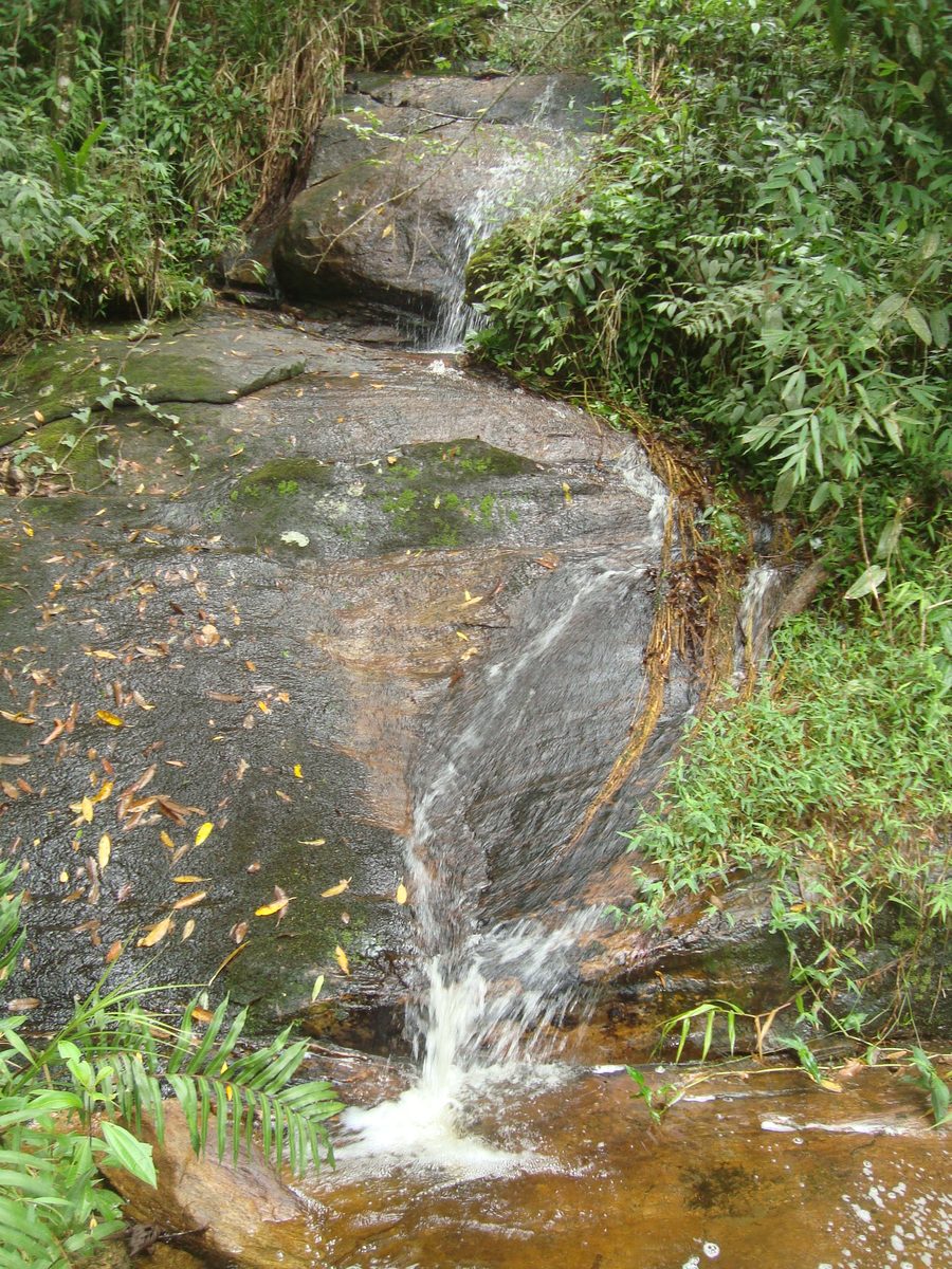 Waterfall in Serra do Brigadeiro State Park near Araponga, Minas Gerais