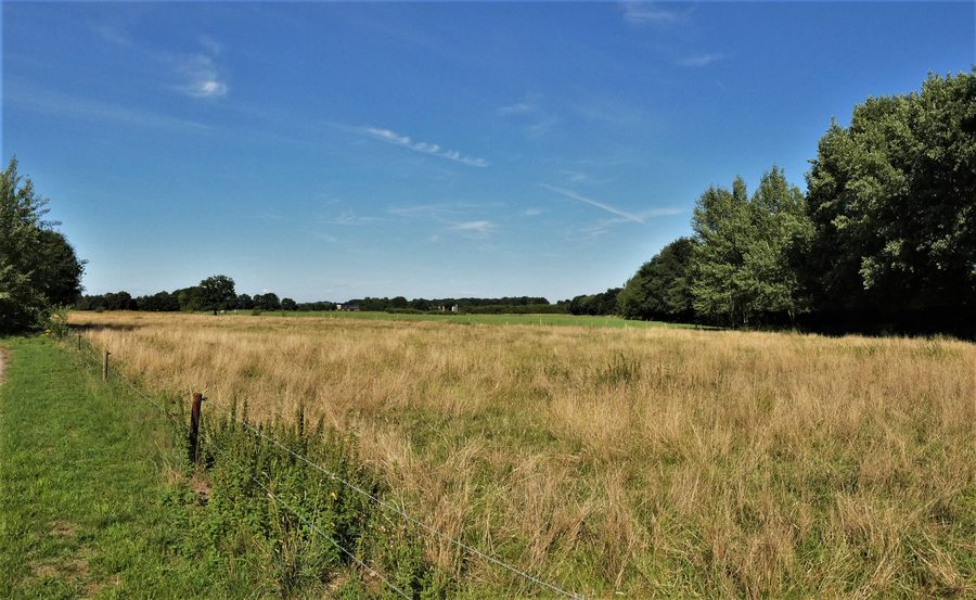 Bietenschlatt nature reserve in Südlohn with natural landscape