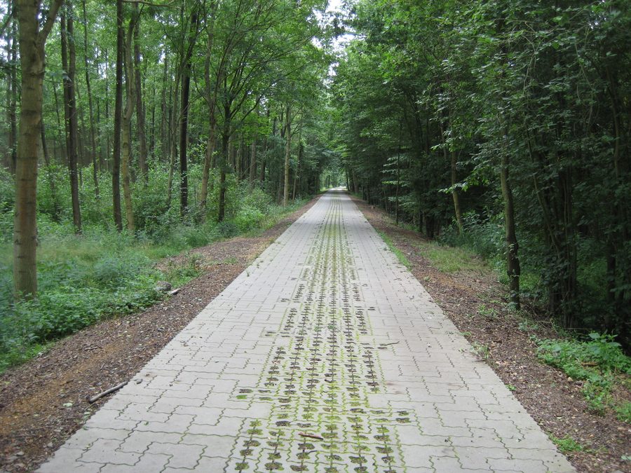 Dahme Cycle Route between Glashütte and Friedrichshof