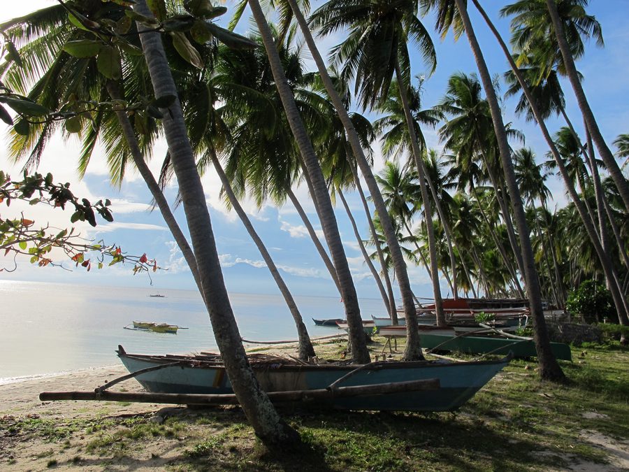 Paliton Beach on Siquijor with light sand, clear water and coconut palms