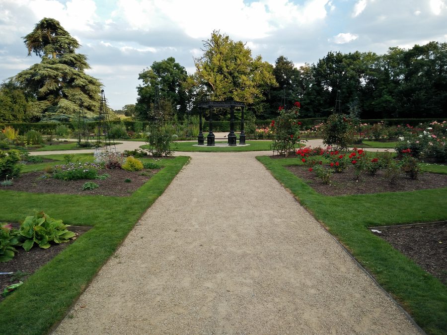 Rose garden in Corkagh Park in Clondalkin, Dublin