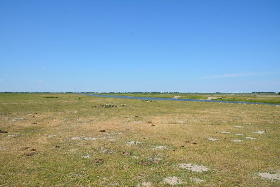 Landscape in the Wöhrdener Loch nature reserve in the Speicherkoog Dithmarschen