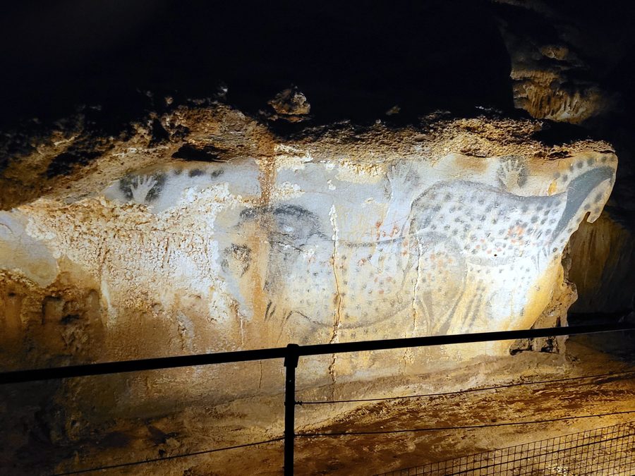 Spotted horses in the Grotte du Pech Merle