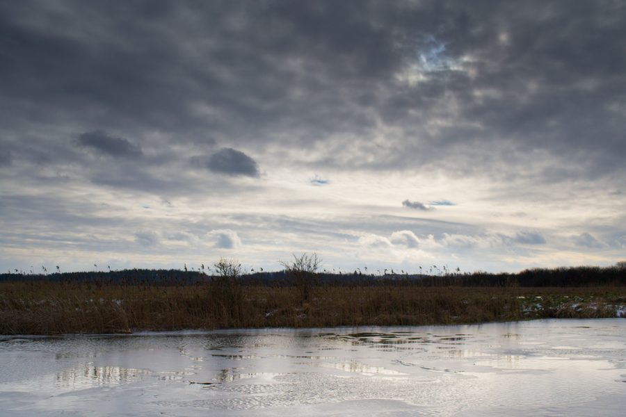Landscape in the commune of Nakło nad Notecią in Poland