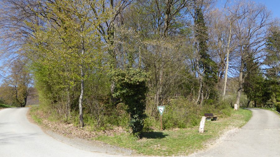Orchard meadows at the Benedikten bird protection grove near Dettingen an der Erms
