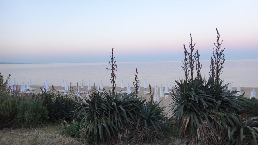 Golden Sands, 9007, Bulgaria