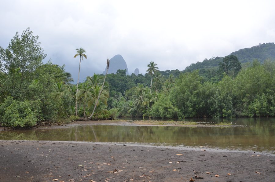 Mangrove landscape in the PrÃncipe Biosphere Reserve