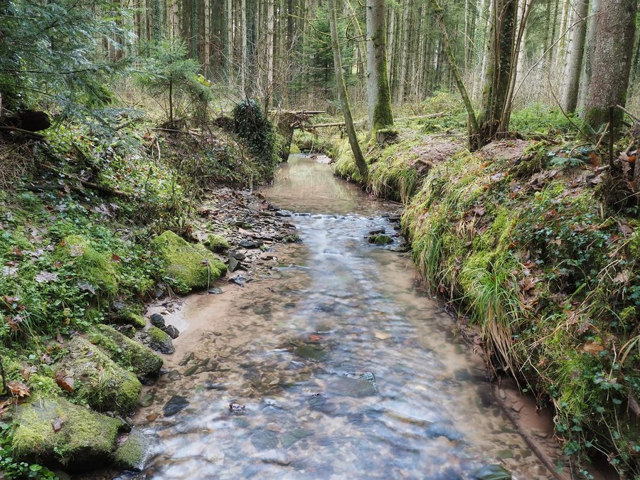 The Spraitbach, a stream between Leinhaus and Stutzenklinge, flows through a wooded landscape.
