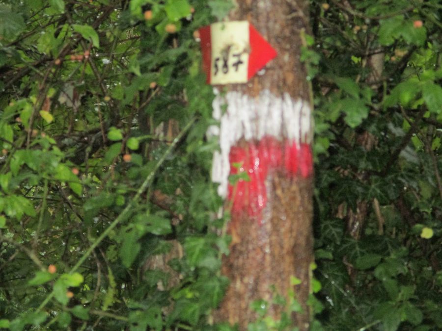 CAI hiking trail sign near Lutirano in Tuscany