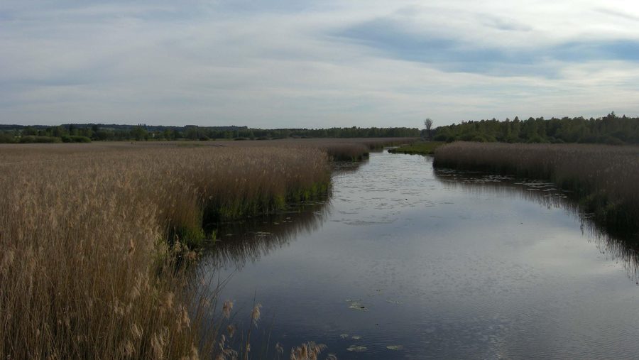 Canal in the Federsee nature reserve near Bad Buchau