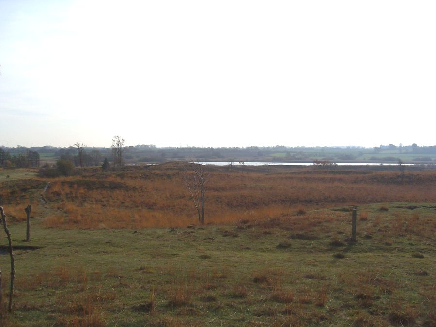 View from the dune at Treßsee onto Treßsee in the nature reserve