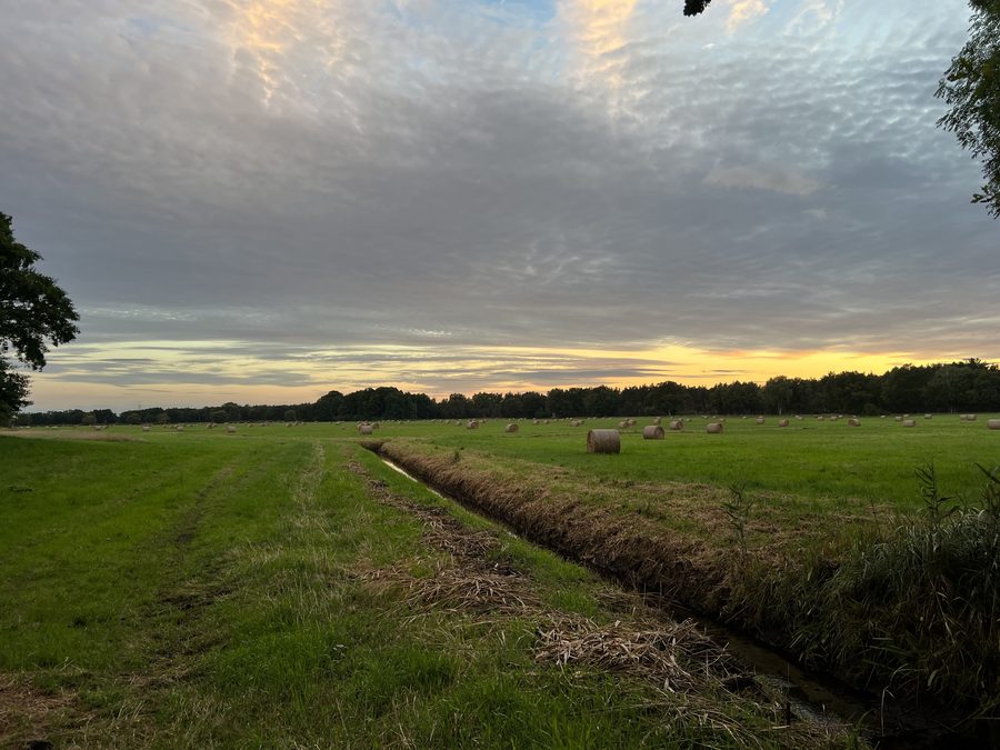 Evening sky over a field in Löwenberger Land near the Liebenberger Bruch nature reserve
