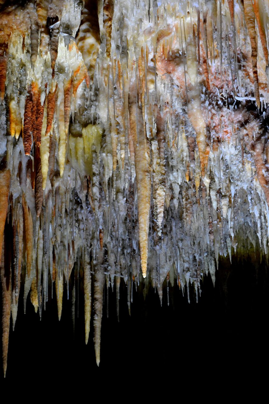 Stalactites in Jillabenan Cave near Yarrangobilly in Kosciuszko National Park