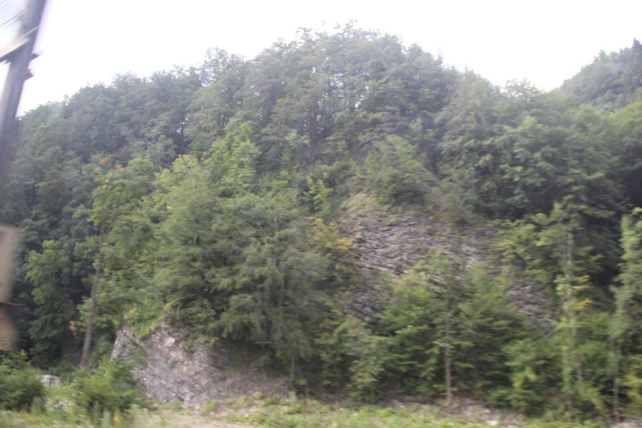 View over wooded mountain slopes in the Romanian Carpathians.