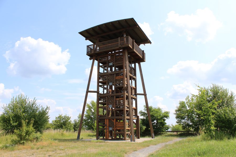 Seeblick lookout tower on Klobikauer Höhe at Lake Geiseltal near Klobikau