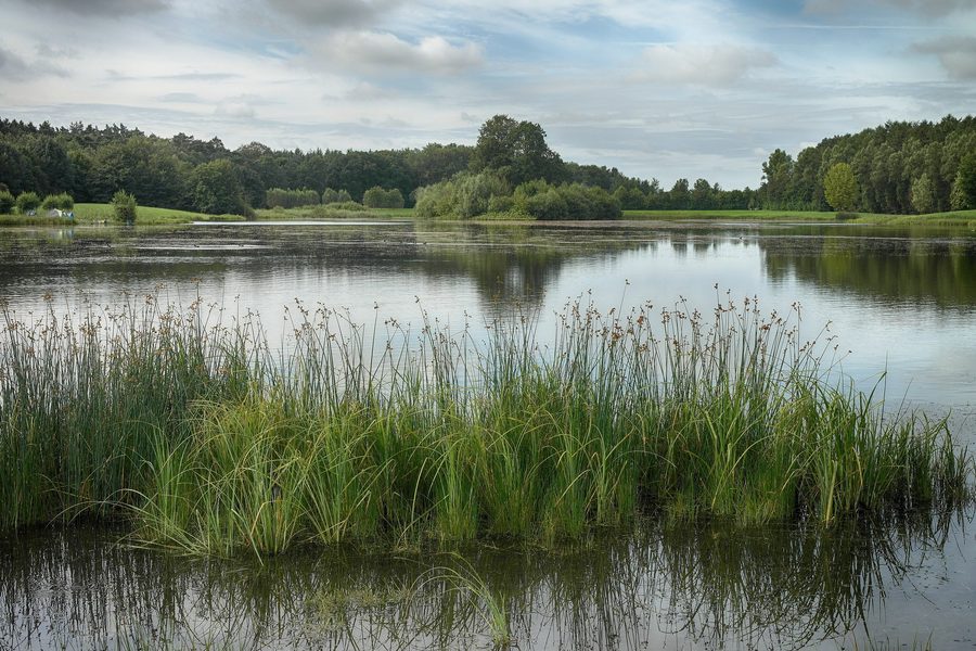 The Kleihügelsee in Altgemeinde Espelkamp