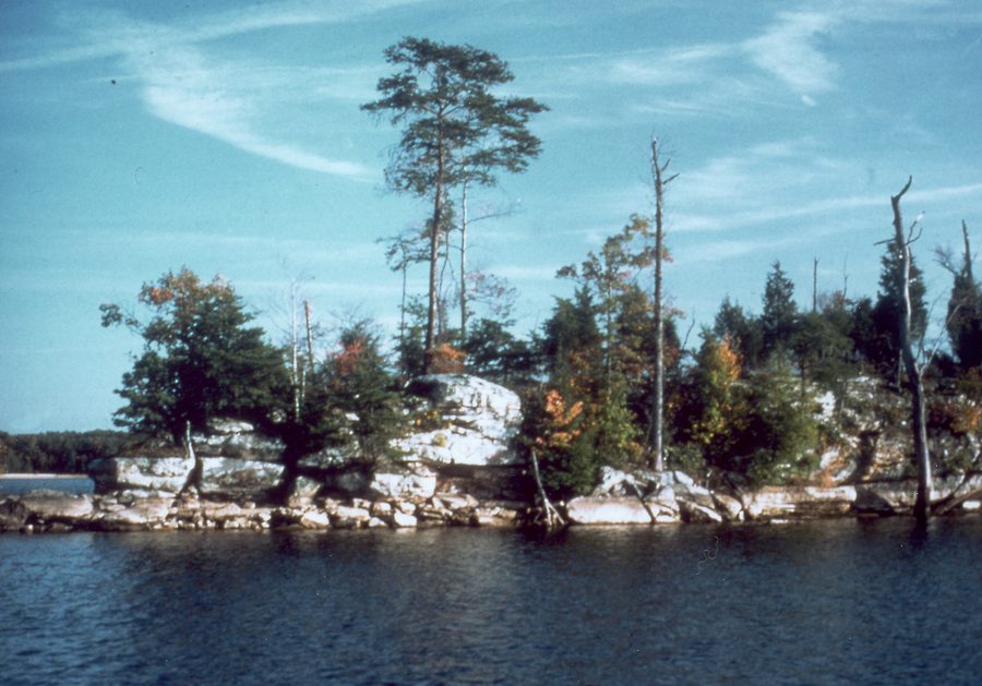 Laurel River Lake in Kentucky with a wooded shoreline