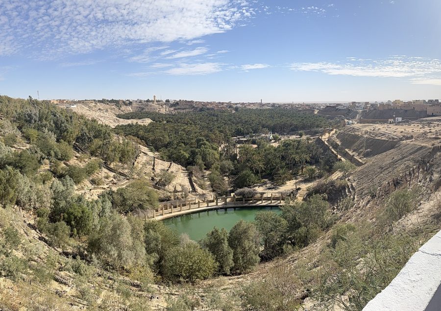 Oasis landscape near Tozeur