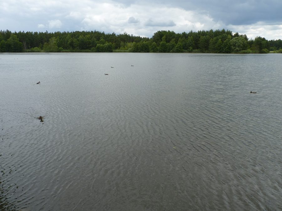 HodÄ›jovský rybnÃk in the TÅ™eboňsko landscape