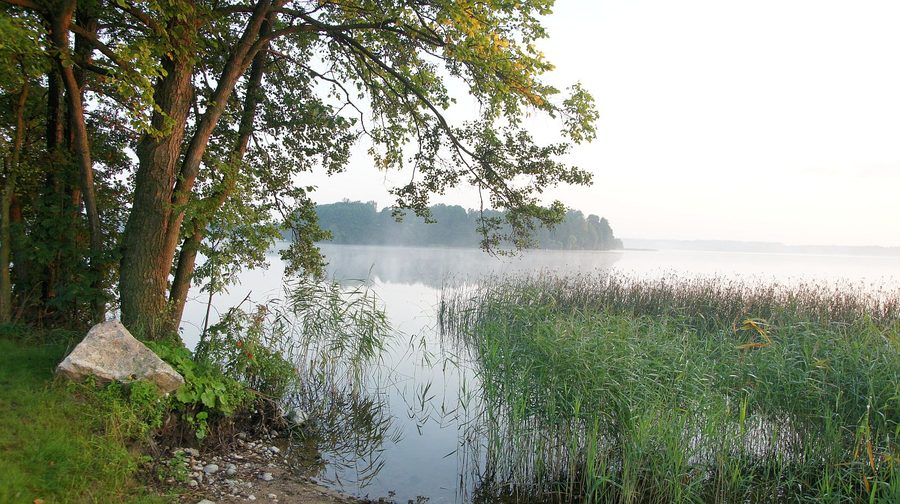 Lakeside landscape of Lake Łaśmiady in Poland