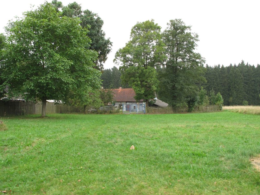 House and trees in Jelenov near Čáslavsko