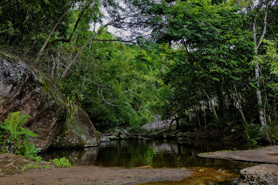 Natural pool surrounded by trees along the Água Branca trail, Ilhabela