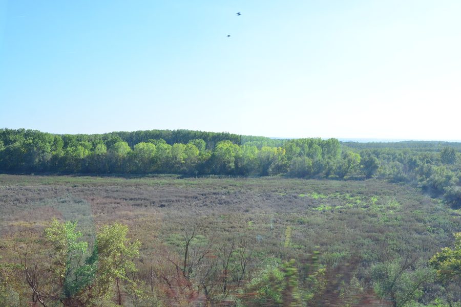 Wide landscape in the Danube corridor with a view of Călărași County