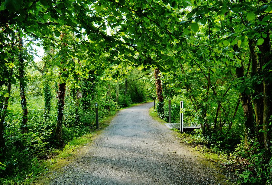 Reconstructed historical site in the Irish National Heritage Park near Ferrycarrig