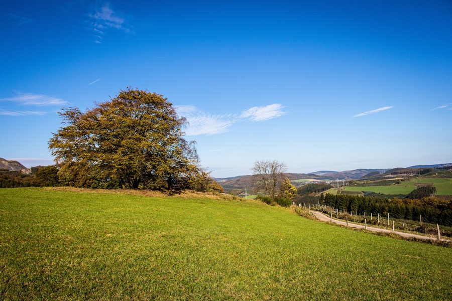Sauerland landscape with a stream valley near Berlar in Bestwig