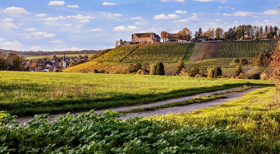 Untergruppenbach with Stettenfels Castle in the surrounding landscape