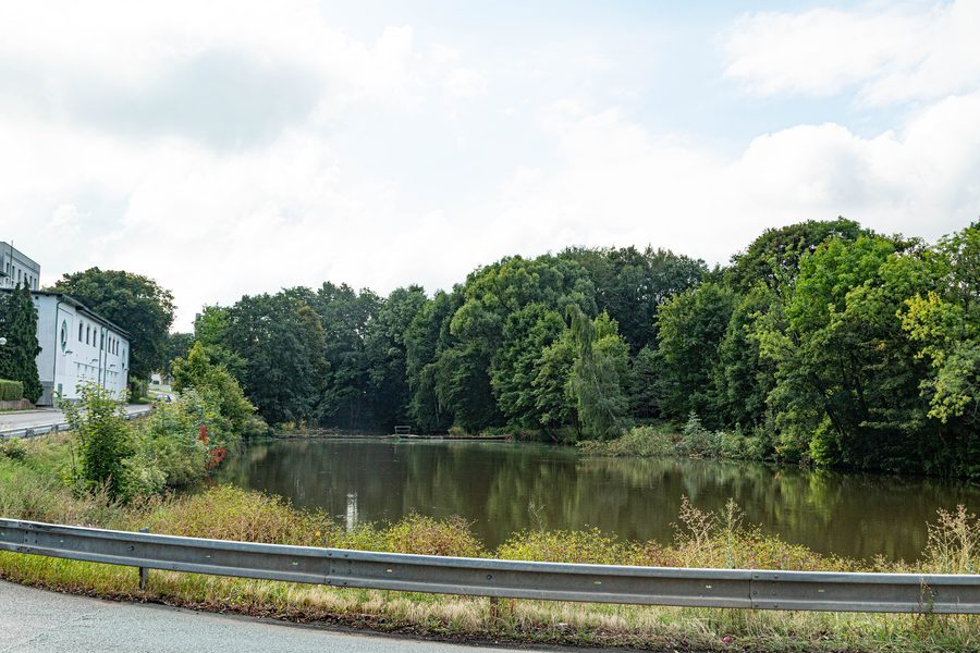 Pivovarský rybník in Nová Paka
