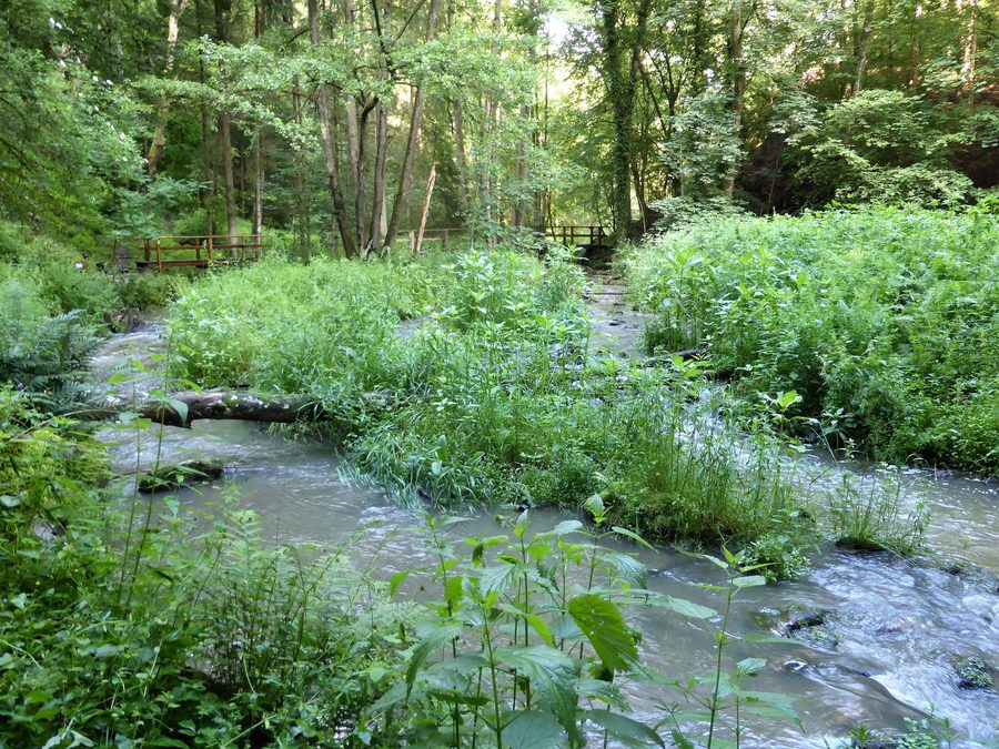 The Menach flows through the Perlbach Valley below Mitterfels Castle Complex
