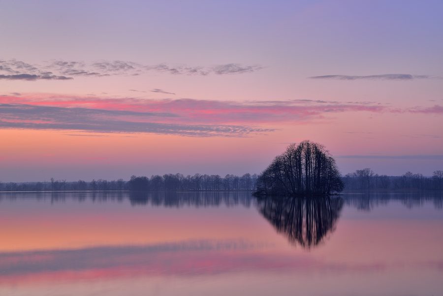 Wetland with water surfaces and riverside vegetation in the Barycz Valley Landscape Park