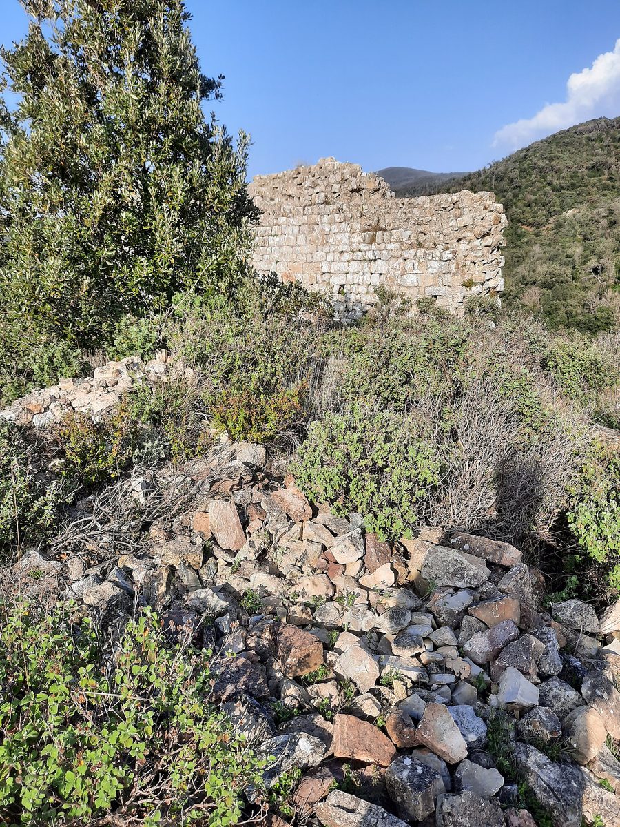 Ruins of Castello di Dolia, also called Castellaccio, in Terriccio