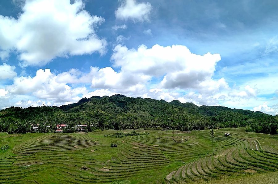 Cadapdapan Rice Terraces in Candijay on Bohol